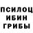 Галлюциногенные грибы Psilocybine cubensis Susan Kestner