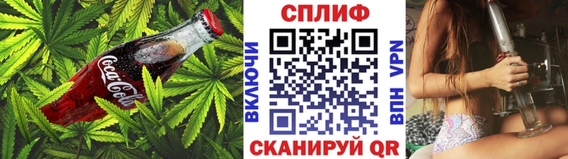 Купить где Советск Еда ТГК конопля