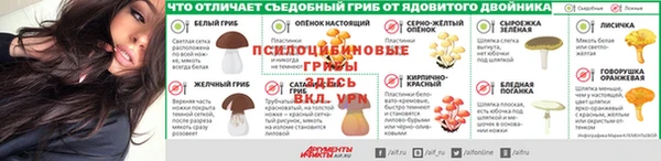 марки lsd Бородино
